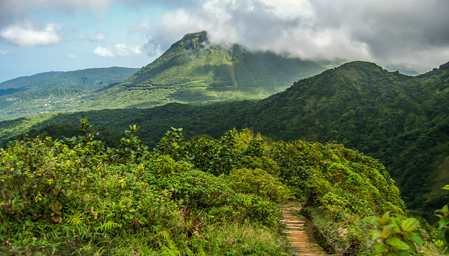 Waitukubuli National Trail, Dominica